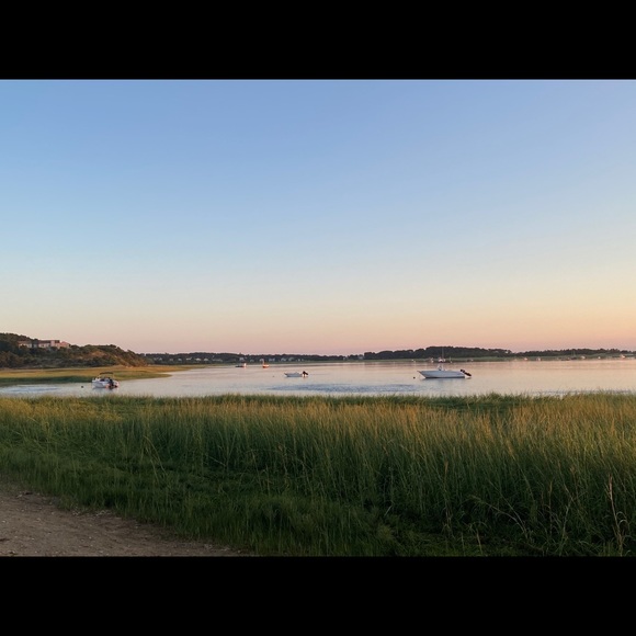 Meet your Posher, Cheri - Picture 1 of 1